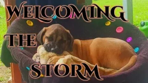 Welcoming the Storm & Responsibility Focus Meditation