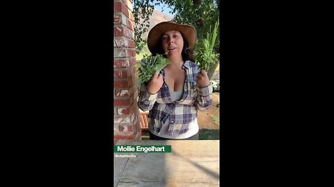 Mollie Engelhart - Culinary Herbs vs Tea Herbs