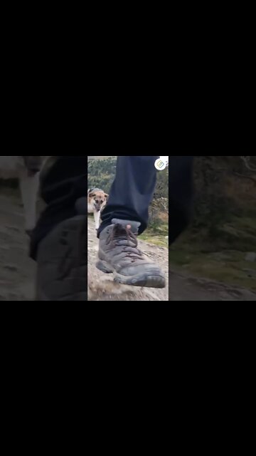 Avoiding your alcohol triggers #shorts #triggers #sober