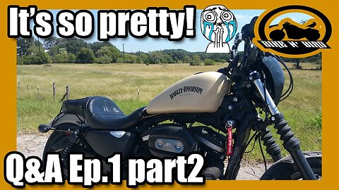 Bike N' Bird Q&A Ep.1 II