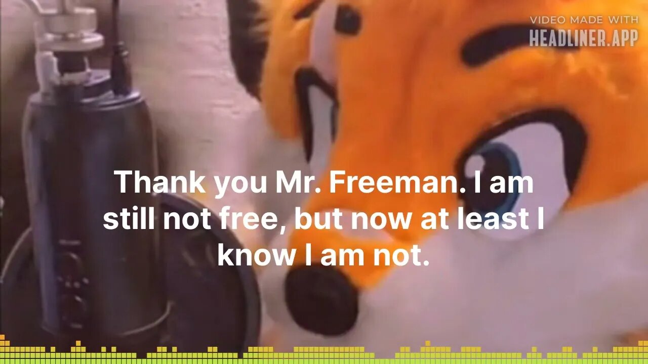 State of the Fandom - Thank you Mr. Freeman. I am still not free, but now at least I know I am not.