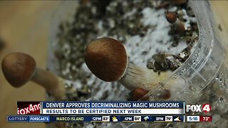 Magic mushrooms decriminalized in Denver