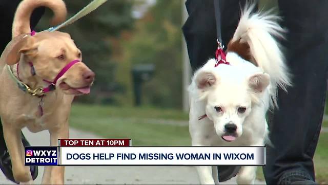 Heroic dogs, owner help find missing Wixom woman with dementia