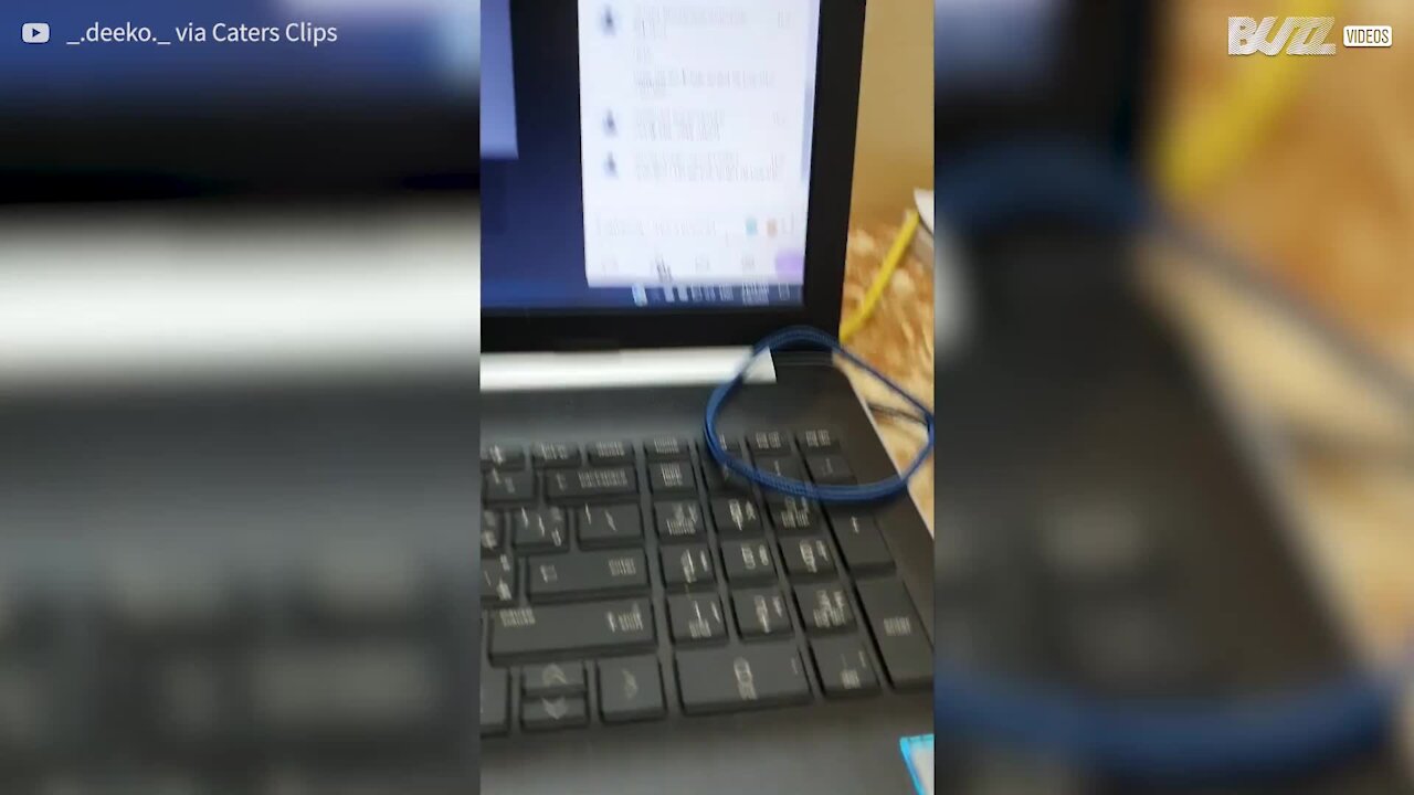 Estudante pede para ir à casa de banho em aula online!