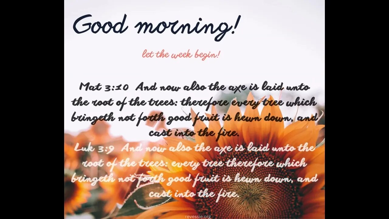 Good Morning! 071023