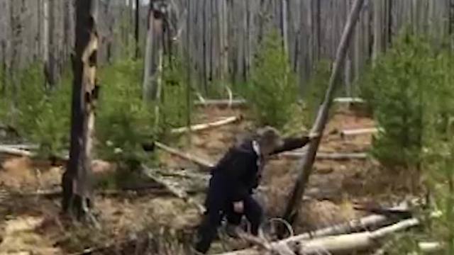 Woman Tries To Push Tree Over One-Handed and Succeeds But Then Trips and Falls