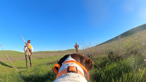 Our GSP’s POV!