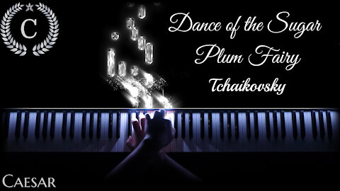 Dance of the Sugar Plum Fairy - Tchaikovsky (Nutcracker Suite) - Electric Piano