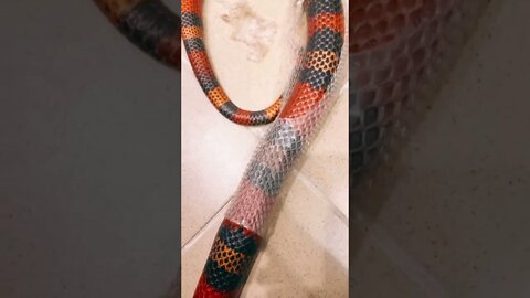 Satisfying or just plain creepy