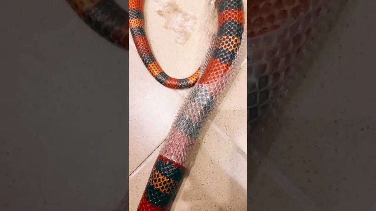 Satisfying or just plain creepy