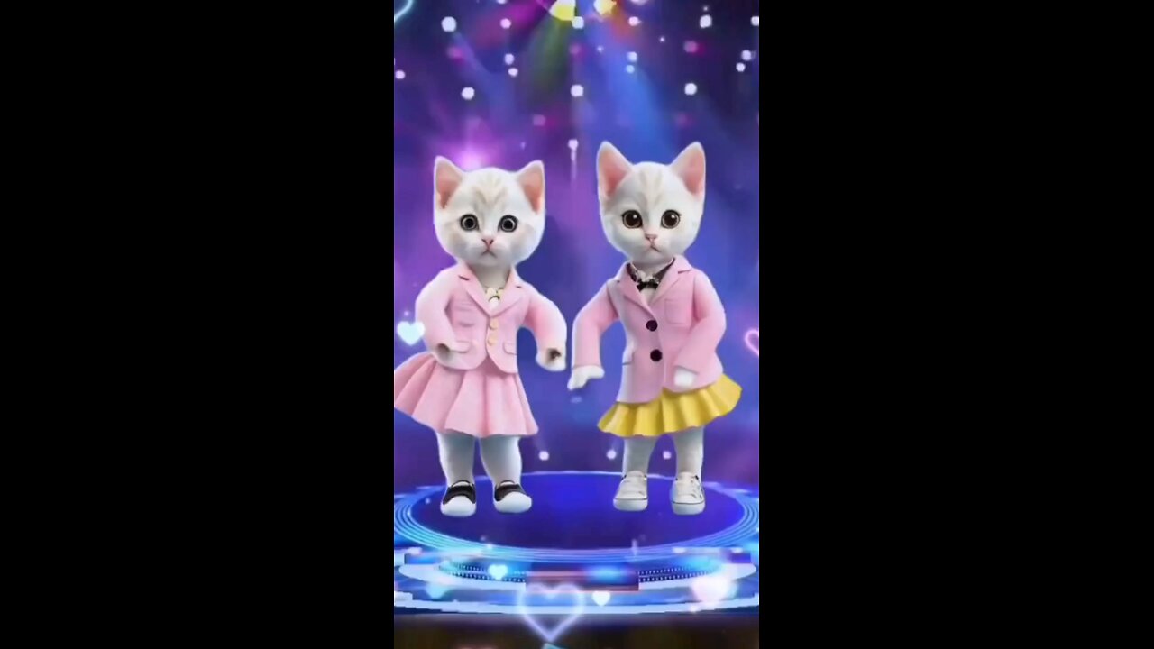 cut cat dance