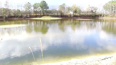 fishing 11/12/2022 p2