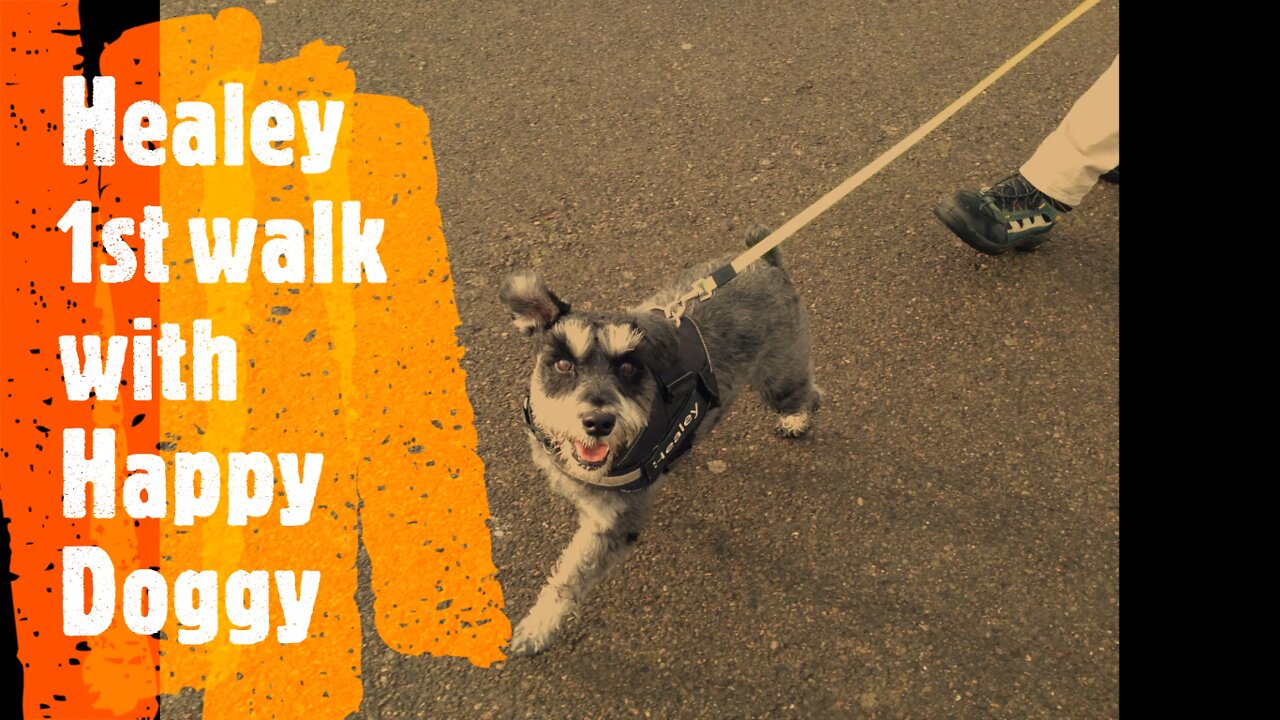 Healey 1st walk with Happy Doggy