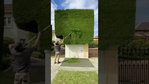 Satisfying gardening