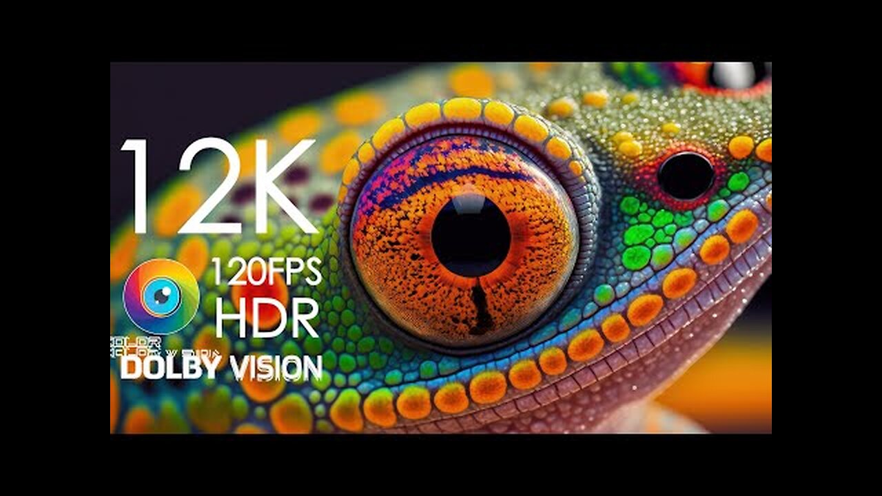 Best 12K HDR 120FPS Dolby Vision