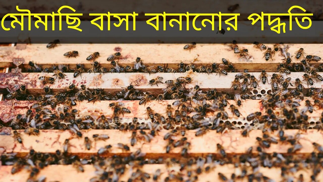 মৌমাছির বাসা বানানোর পদ্ধতি।।How To Make A Bee Nest