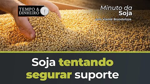 Soja tentando segurar suporte no 13 no novembro