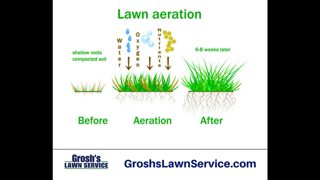 Lawn Aeration Falling Waters WV Lawn Care Service