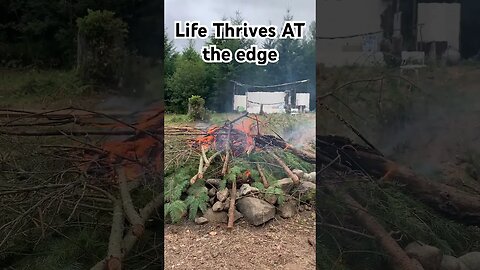 Clearing with FIRE and a Tree Knife - Camp SunEeKey - Group Camp