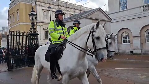 White police horses beautiful #horseguardsparade