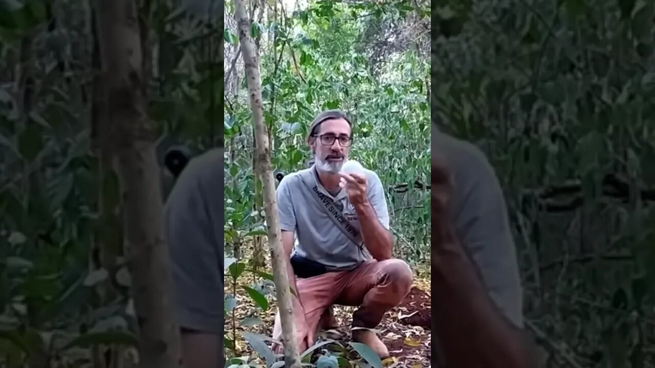 Lanterna Redondinha
