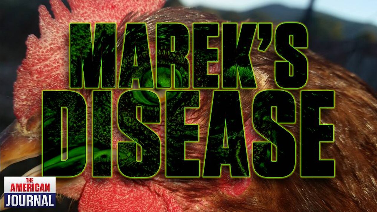 Marek's Disease - How The COVID Vaccine Is Breeding A Super Virus