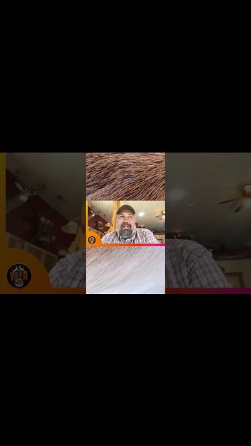 The most deer hunter friendly state #shorts #deer #deerhunting