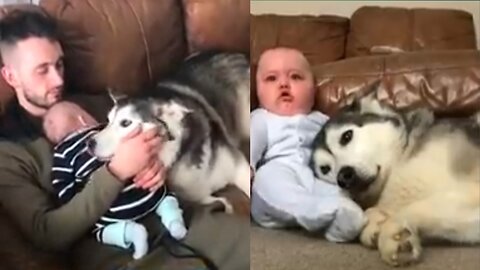 My baby and dog funny video videos