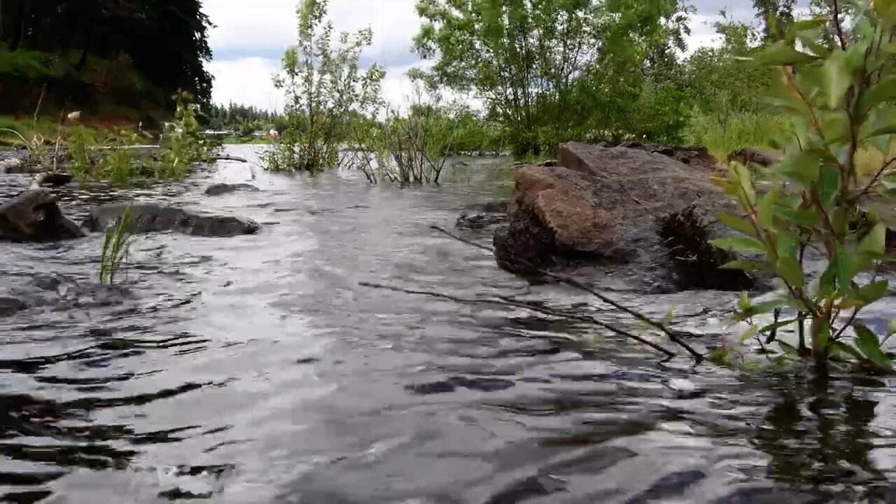 Water Willamette River From This Landscape