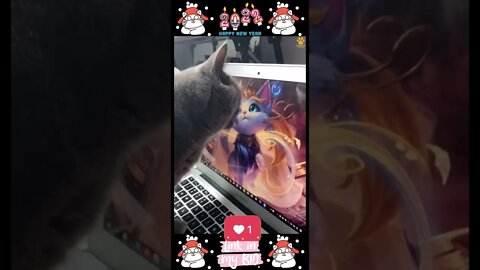 #05_😂😹😂 #Cute #Animals #For #When #You #Are #Stressed 😂😹😂 (#2022)