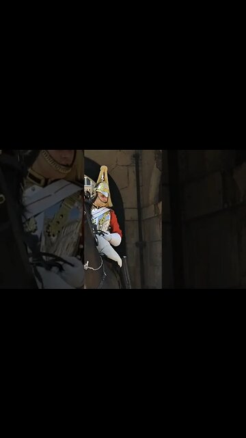 Kings guard shouts at tourist don't hold the Reins #horseguardsparade