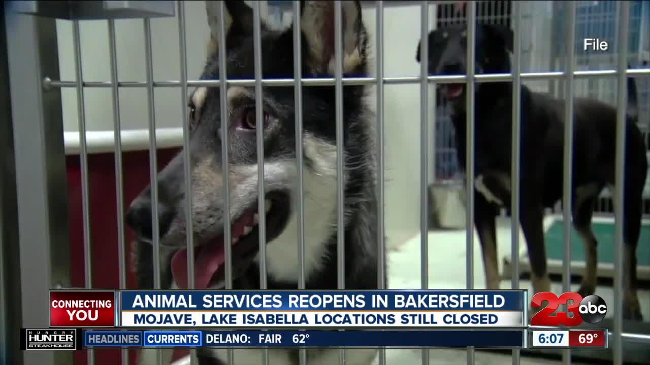 Animal services reopens in Bakersfield