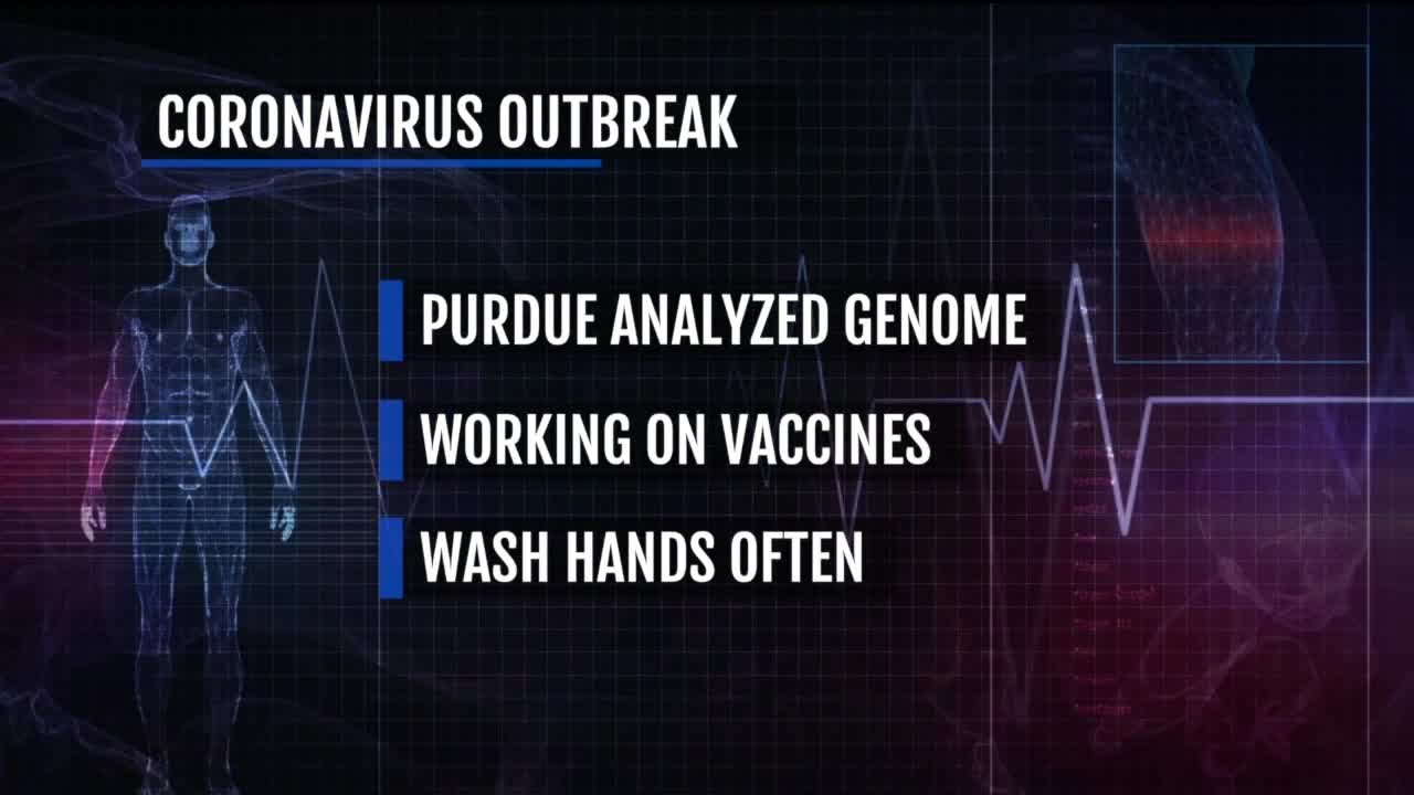 Coronavirus update: Scientists trace outbreak to Chinese snakes