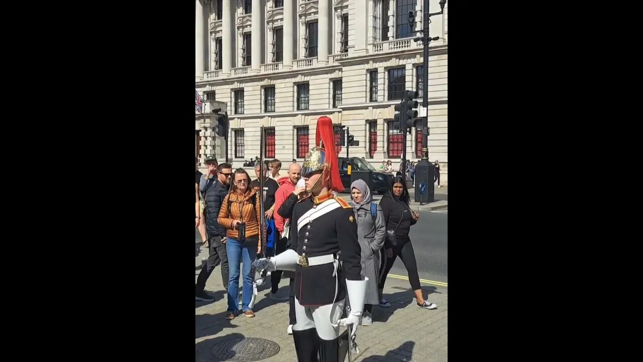 Just checking on his buddy's #horseguardsparade