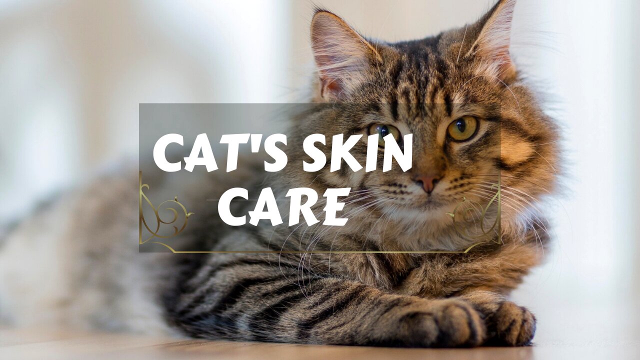 CAT'S SKIN CARE