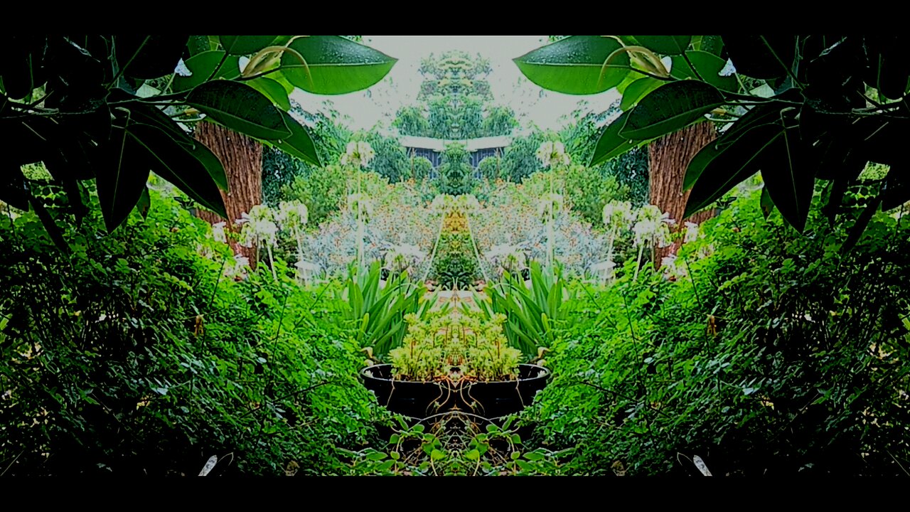 Country garden with heavy rainfall - Ambient sounds for sleep, relaxation and stress relief.