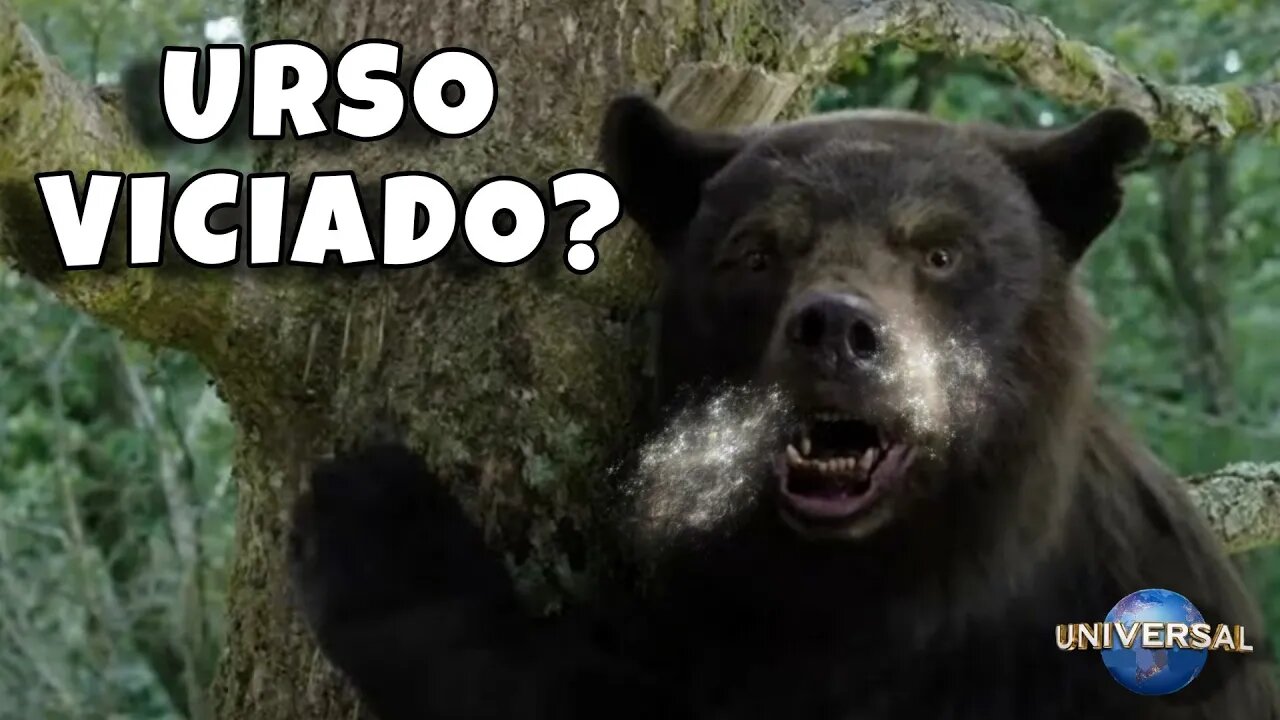 Trailer O Urso do Pó Branco - Legendado