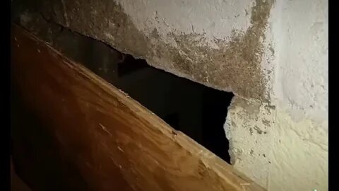 The Scary Pictures