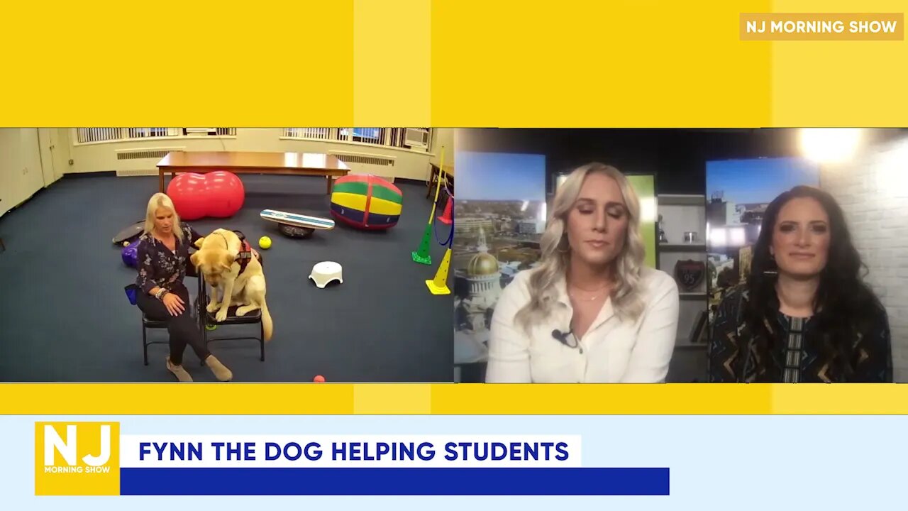 Fynn the Dog Helping Special Needs Students