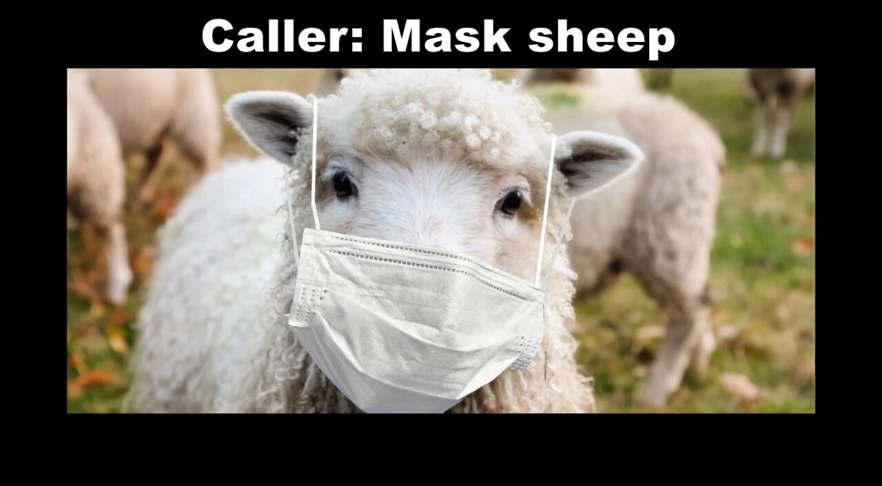 (Banned by YouTube) Mask sheep gets destroyed by Dr. Kelly Victory... AGAIN!