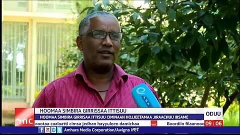 AMECO HIBIR: Hoomaa Simbira Girrisaa Ittisuu Ciminaan Hojjetamaa Jiraachu Ibsame 01/02/2016