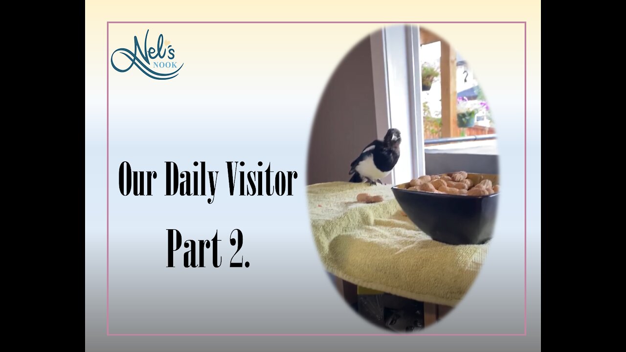 Our Daily Visitor - Part 2