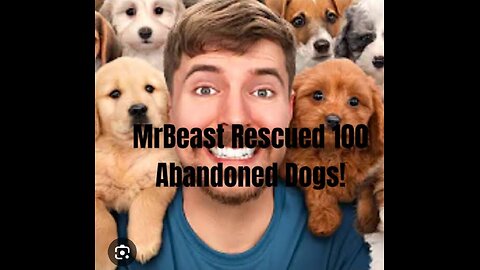 Mr beast rescused 100 abandoned Dogs!