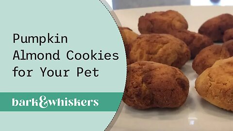 Pumpkin Almond Cookies for Your Pet