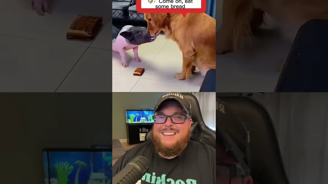 Here’s Your Dose Of REALarious…🤣🤣🤣