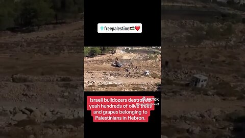 Bulldozers Destroying 100’s Of Olive Trees & Grapes. #politics #news #usa