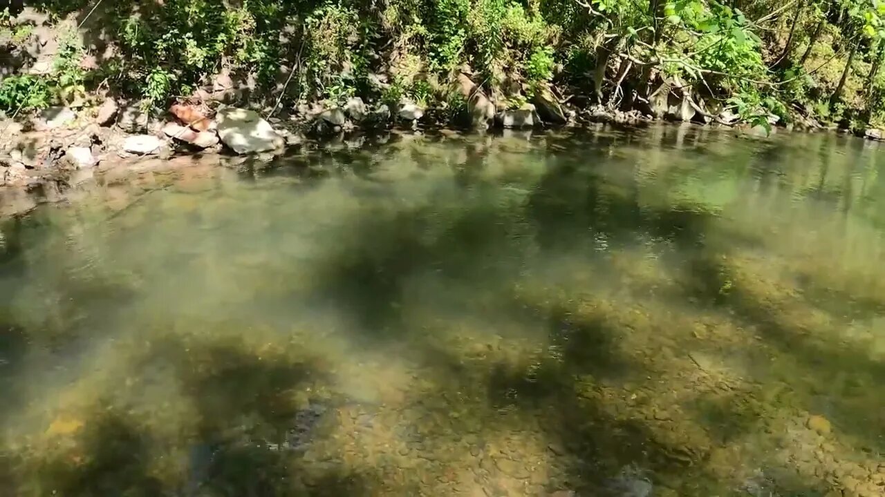 Catching GIANT Brown Trout in a Small Creek! -32