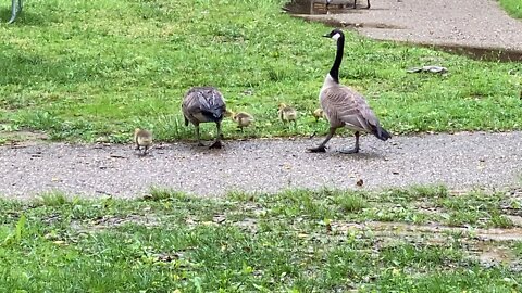 Lunch with the kids