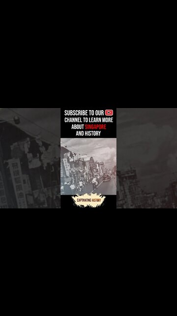 Did You Know Singapore Is One of the “Four Asian Tigers?” #shorts