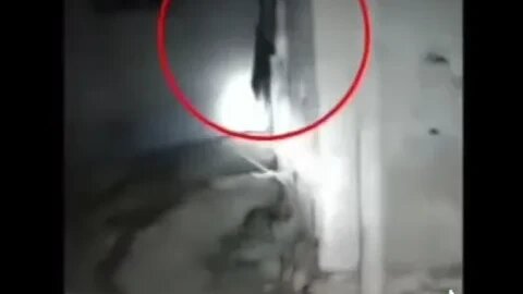 Creepy Investigation